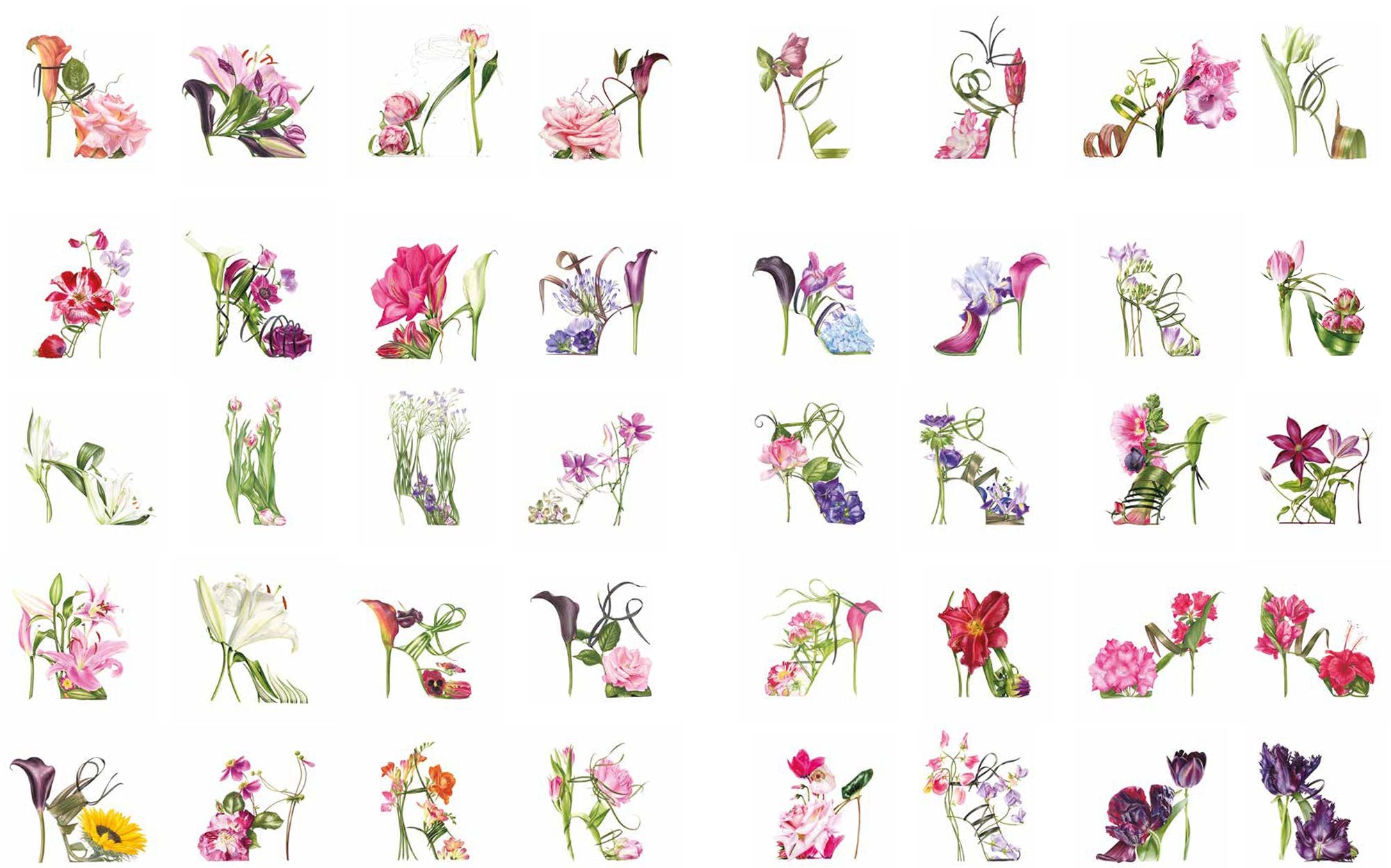 Botanical Shoes, The: A collection of botanical shoe paintings in watercolour and words