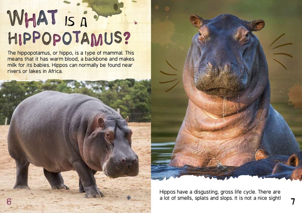 The Gross Life Cycle of a Hippopotamus