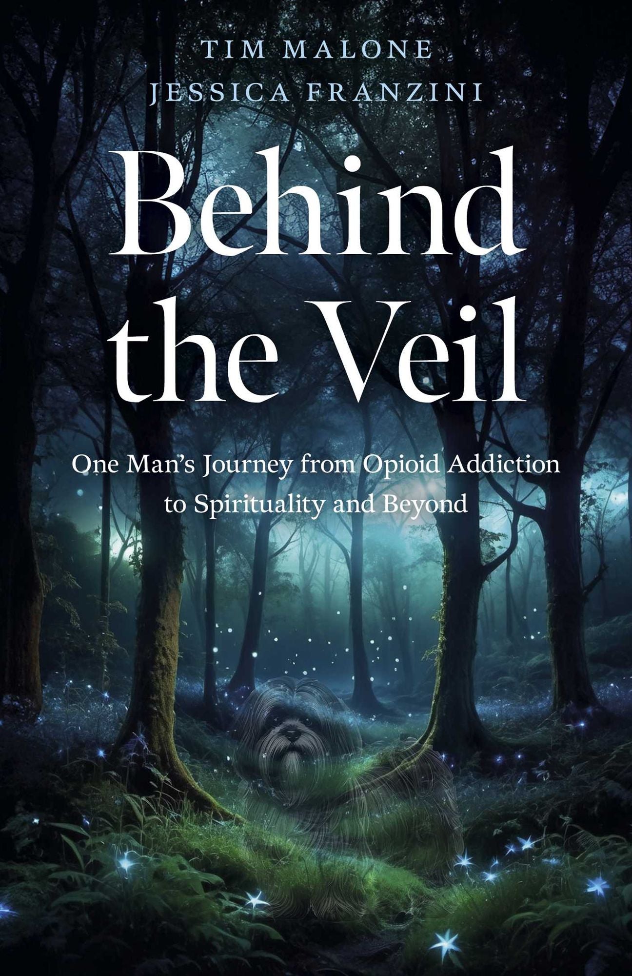 Behind the Veil: One Man's Journey from Opioid Addiction to Spirituality and Beyond