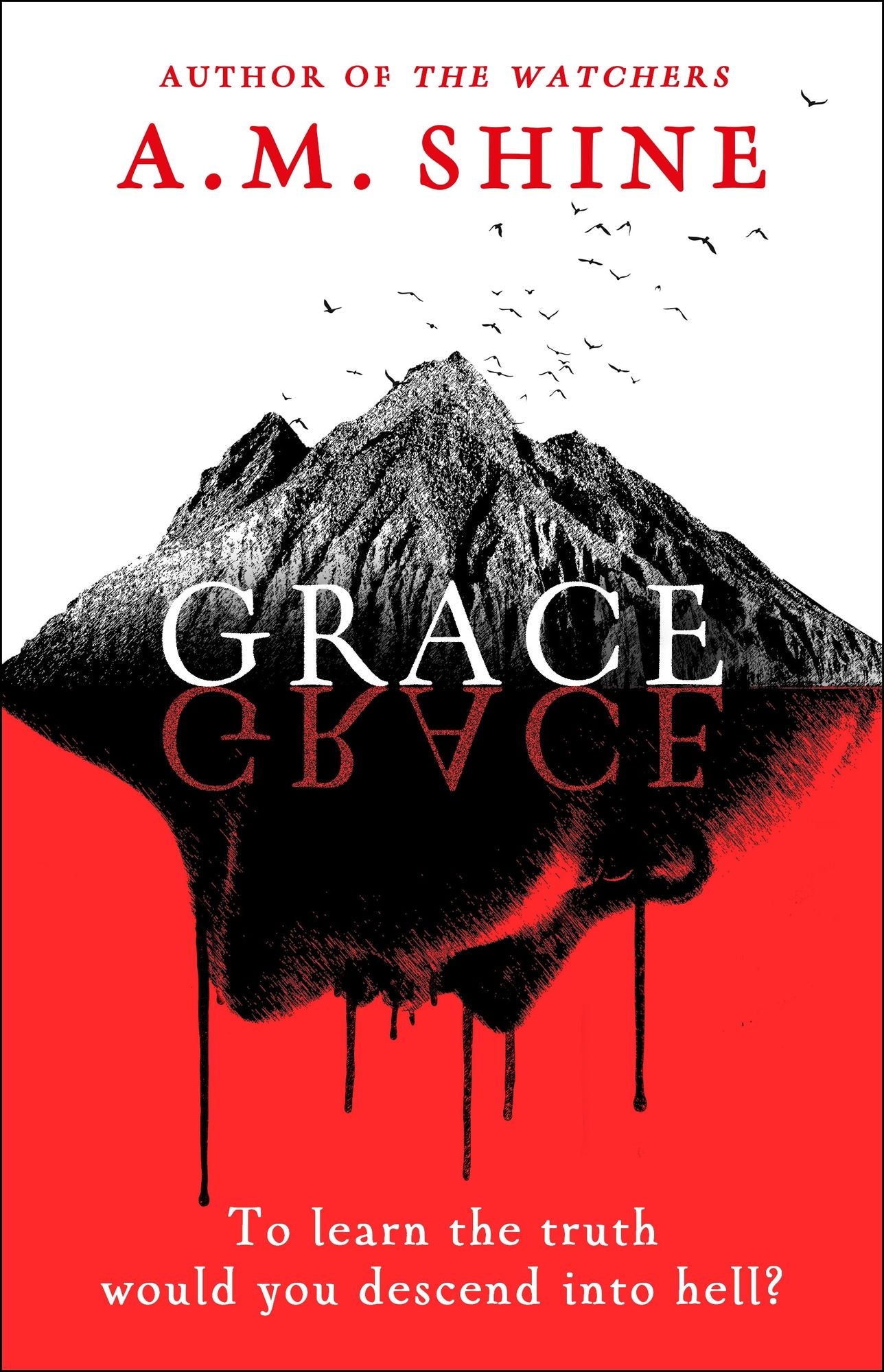 Grace: an edge-of-your-seat horror novel from the author of The Watchers