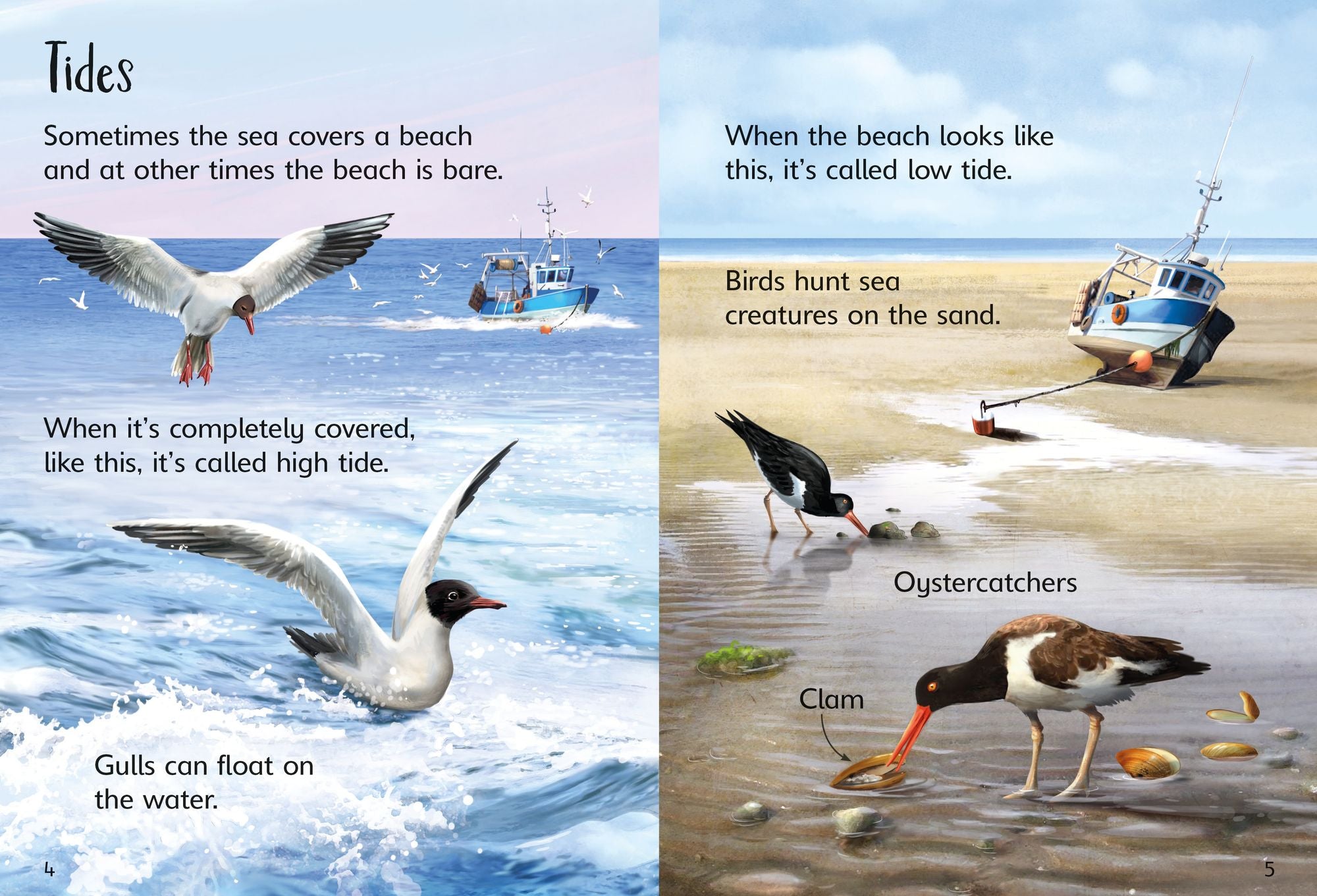 On the Beach (Usborne Beginners)