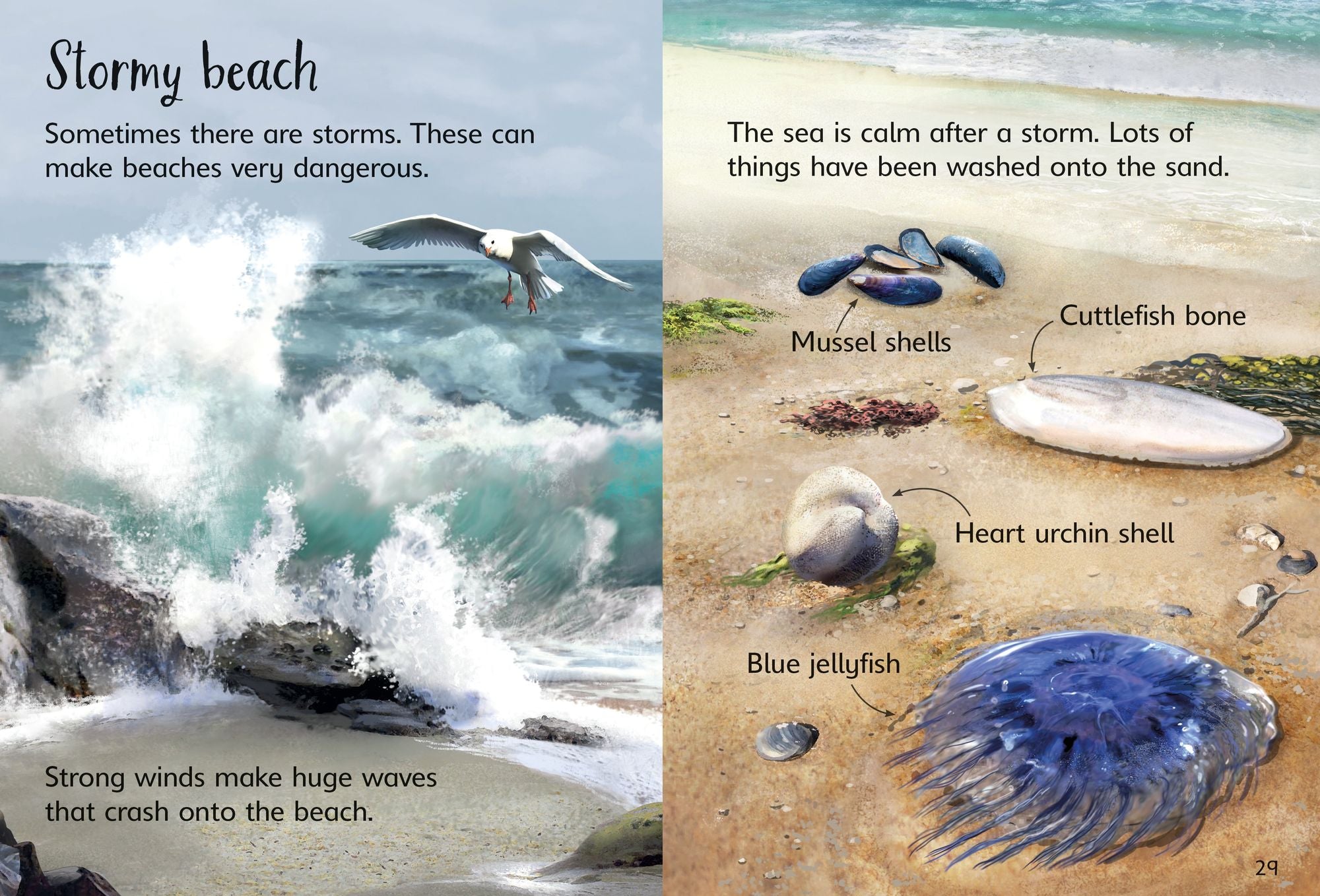 On the Beach (Usborne Beginners)