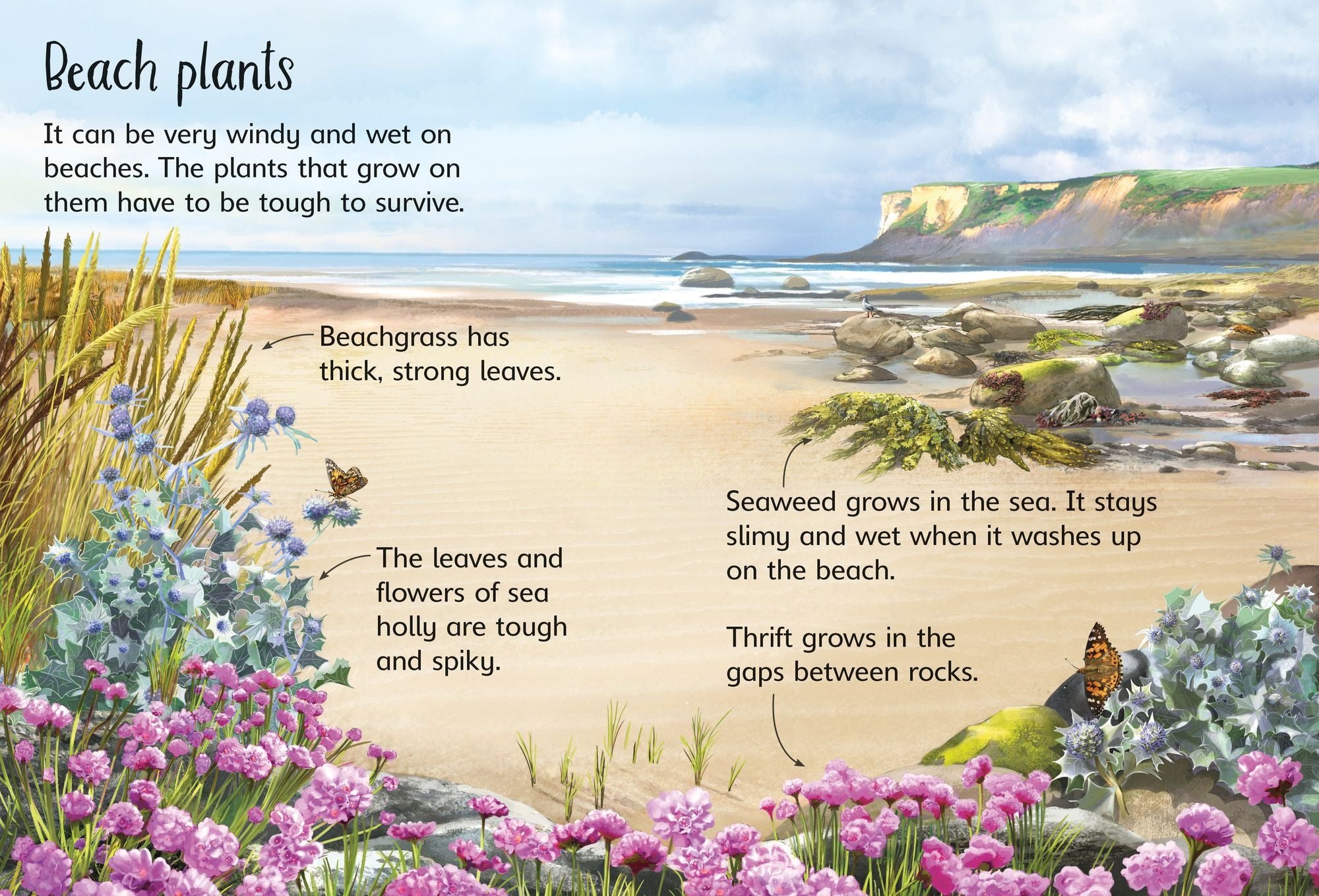 On the Beach (Usborne Beginners)