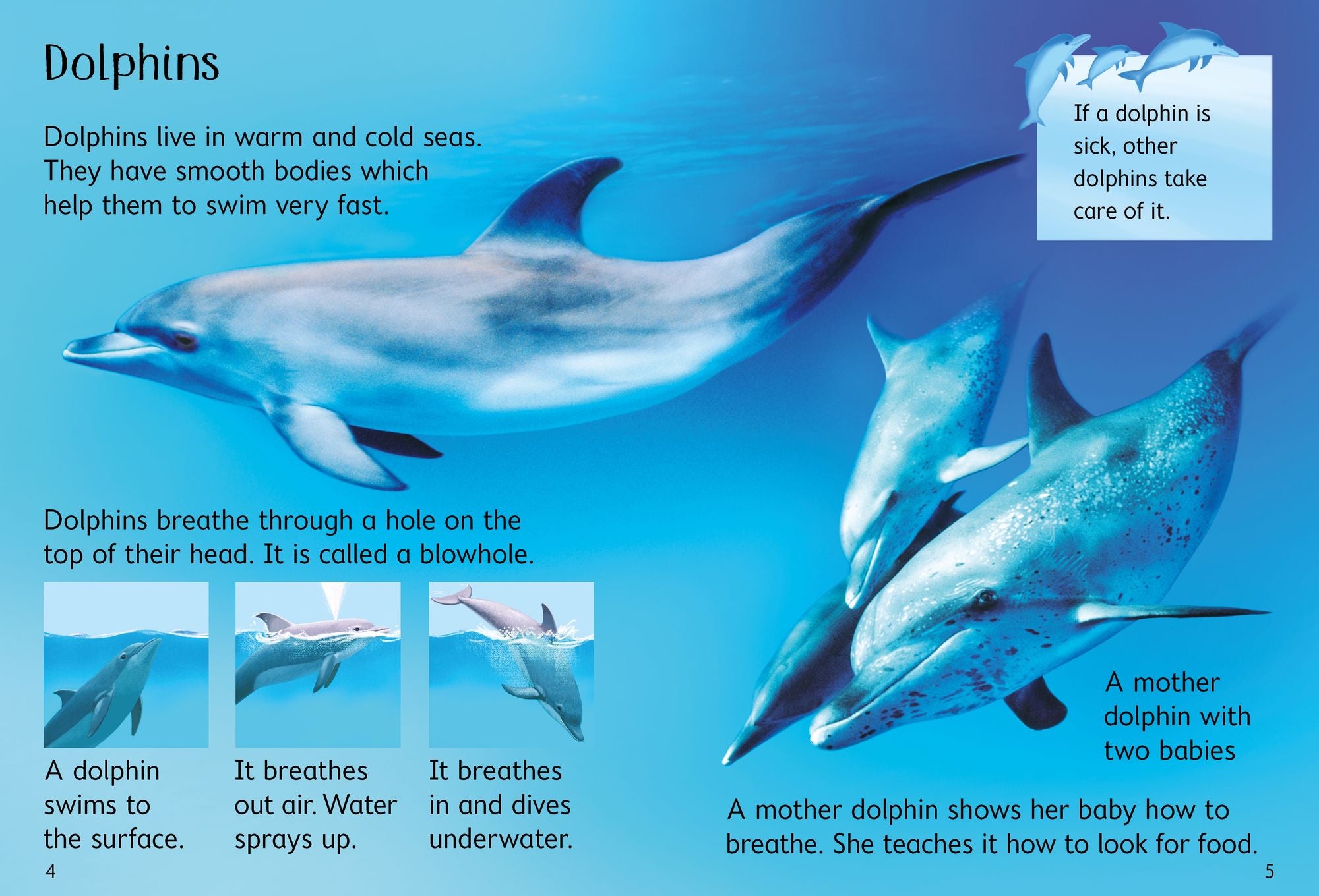 Under the Sea (Usborne Beginners)