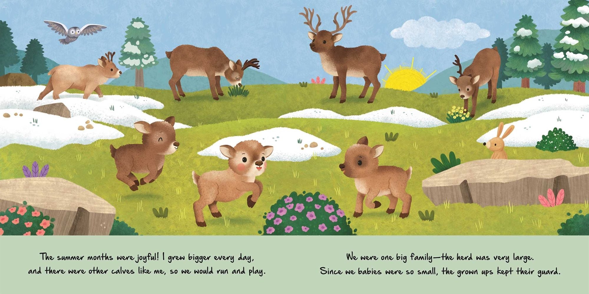 Nature Stories: Little Reindeer