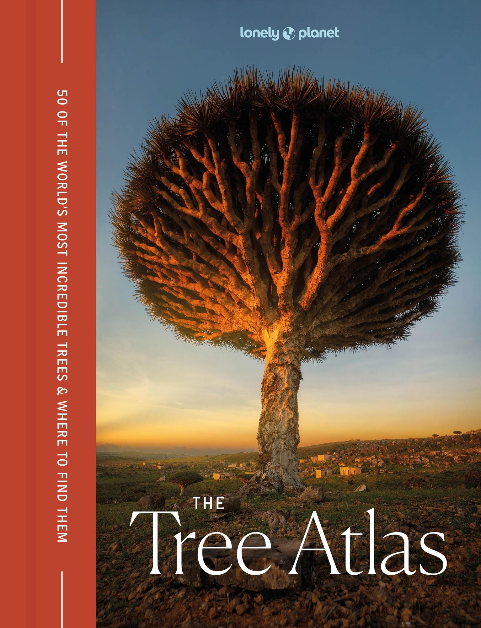 Lonely Planet The Tree Atlas: 50 Magnificent Species Across the Planet Practical Travel Advice to See Each Natural Wonder Exquisite Photography & Illustrations