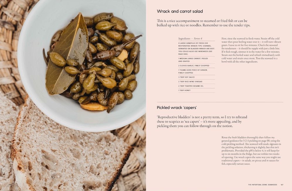 The Coastal Forager: A Guide to the Edible Opportunities of Our Amazing Coastlines