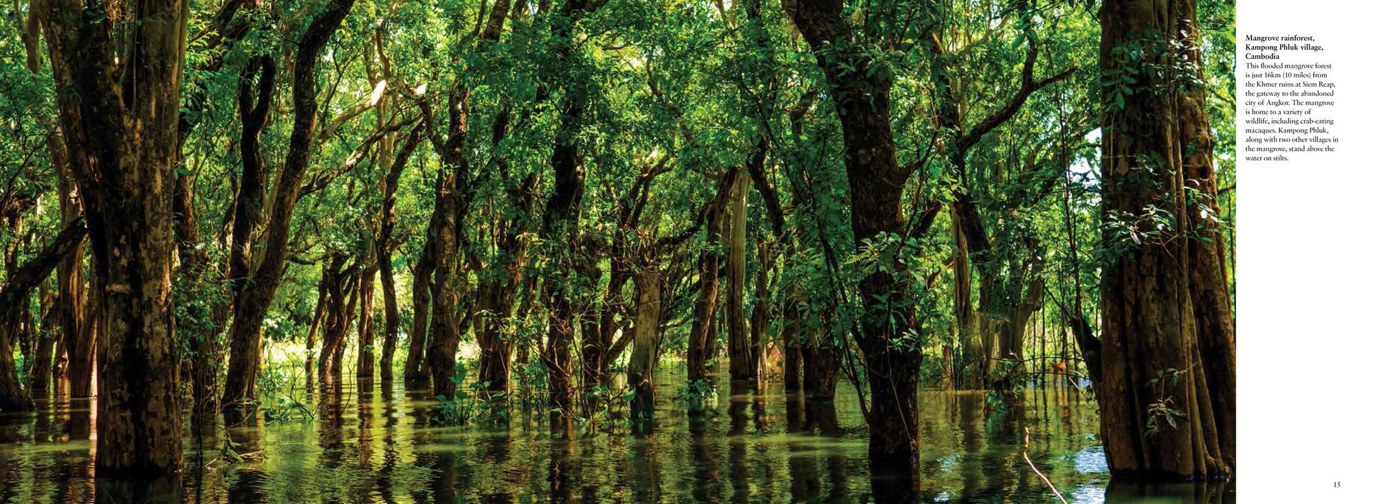 The Wild: The World's Most Spectacular Untamed Places