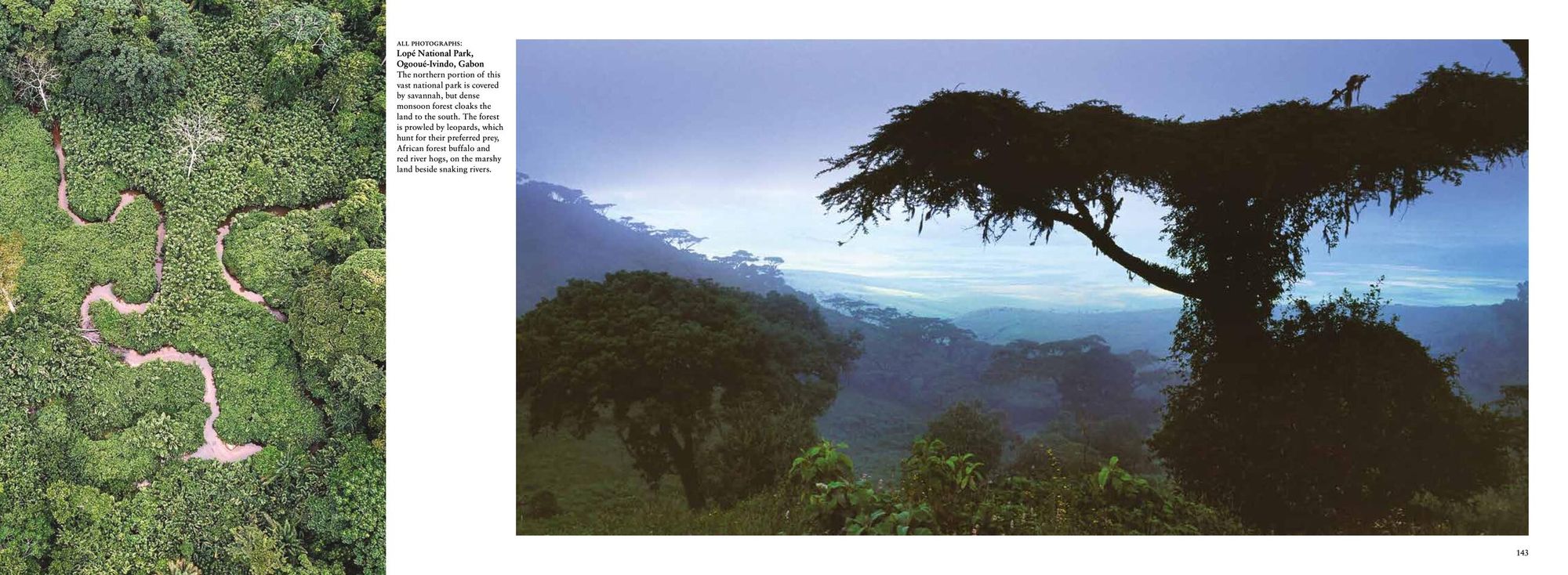 The Wild: The World's Most Spectacular Untamed Places