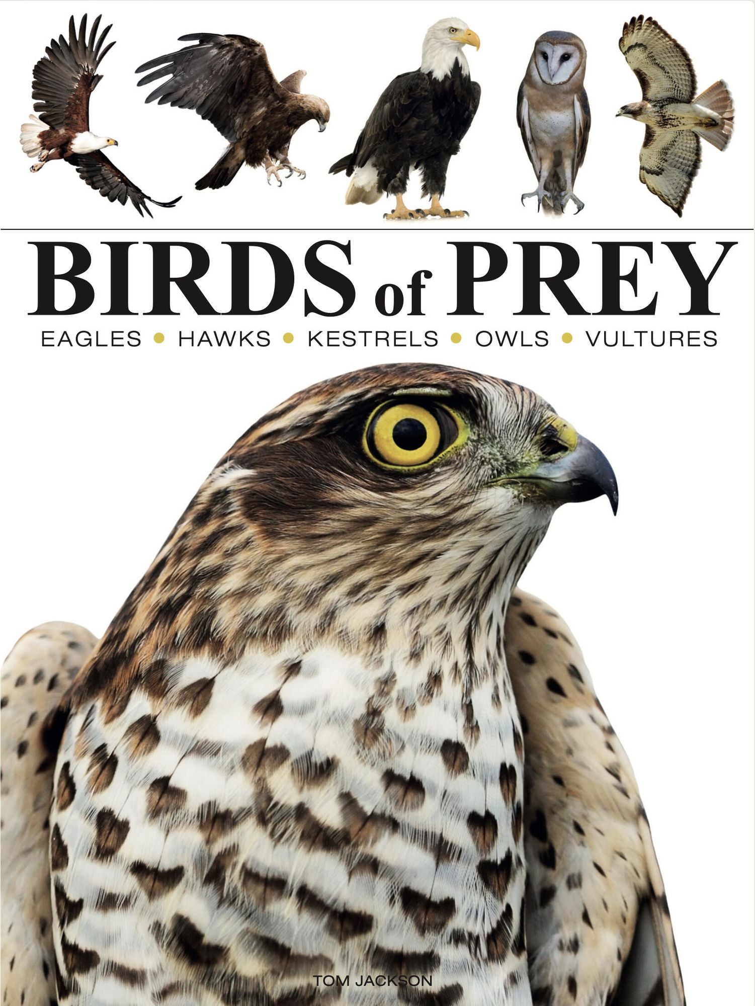 Birds of Prey: Stunning Photographs of the World's Great Hunting Birds