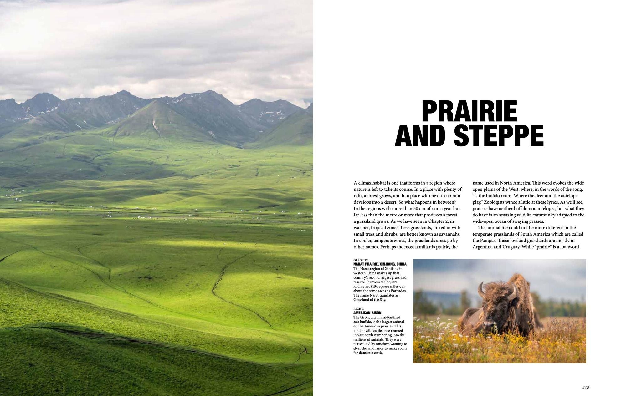 Natural History of the World: A Photographic Exploration of Earth's Animals, Plants and Landscapes