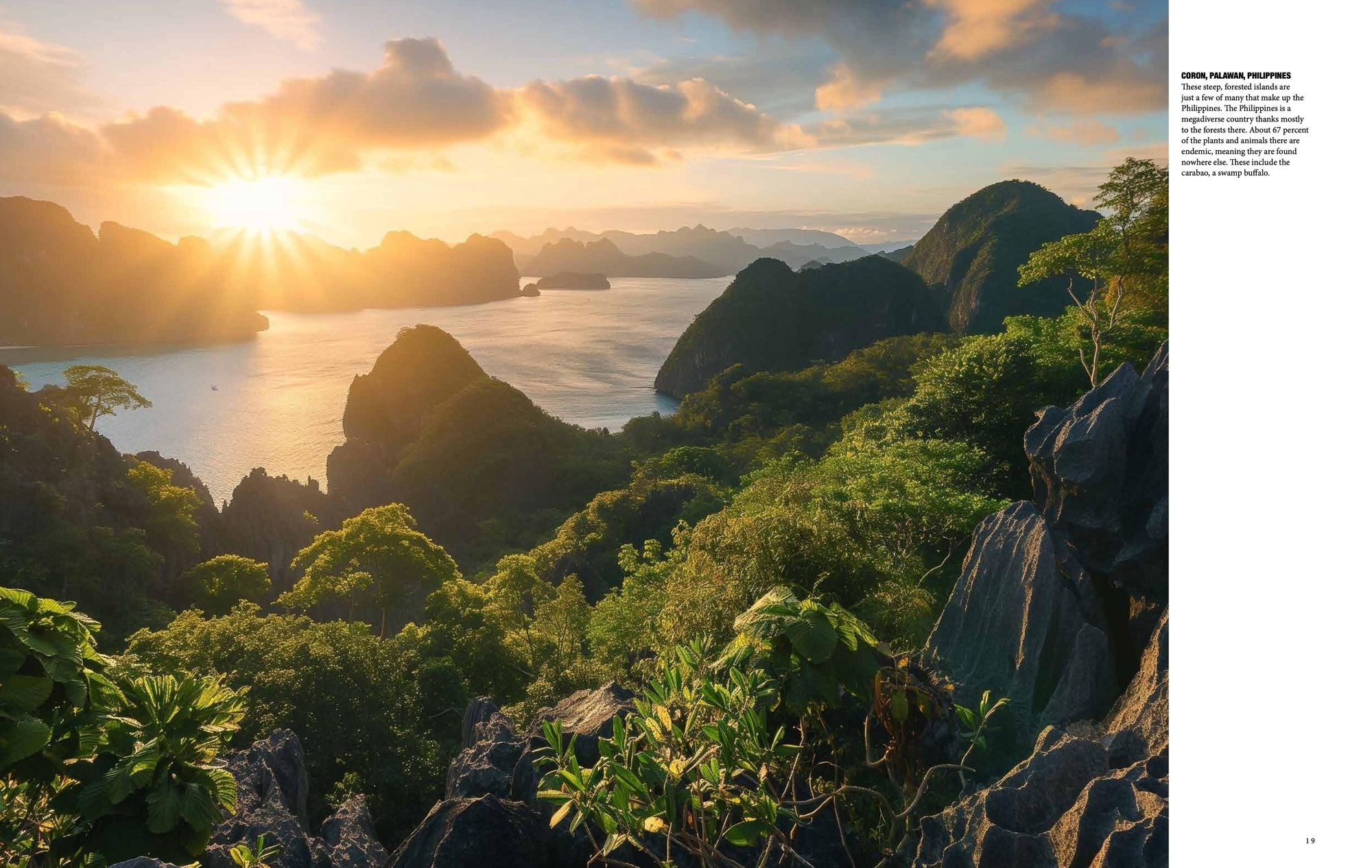 Natural History of the World: A Photographic Exploration of Earth's Animals, Plants and Landscapes