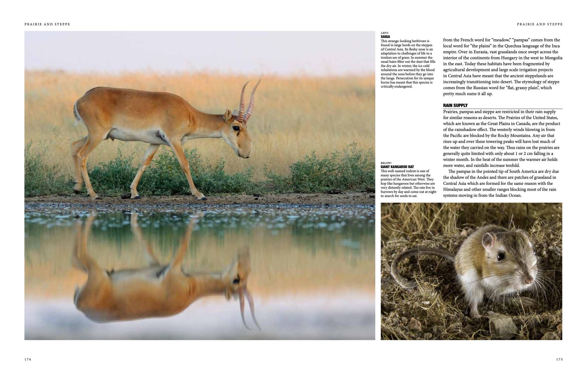 Natural History of the World: A Photographic Exploration of Earth's Animals, Plants and Landscapes