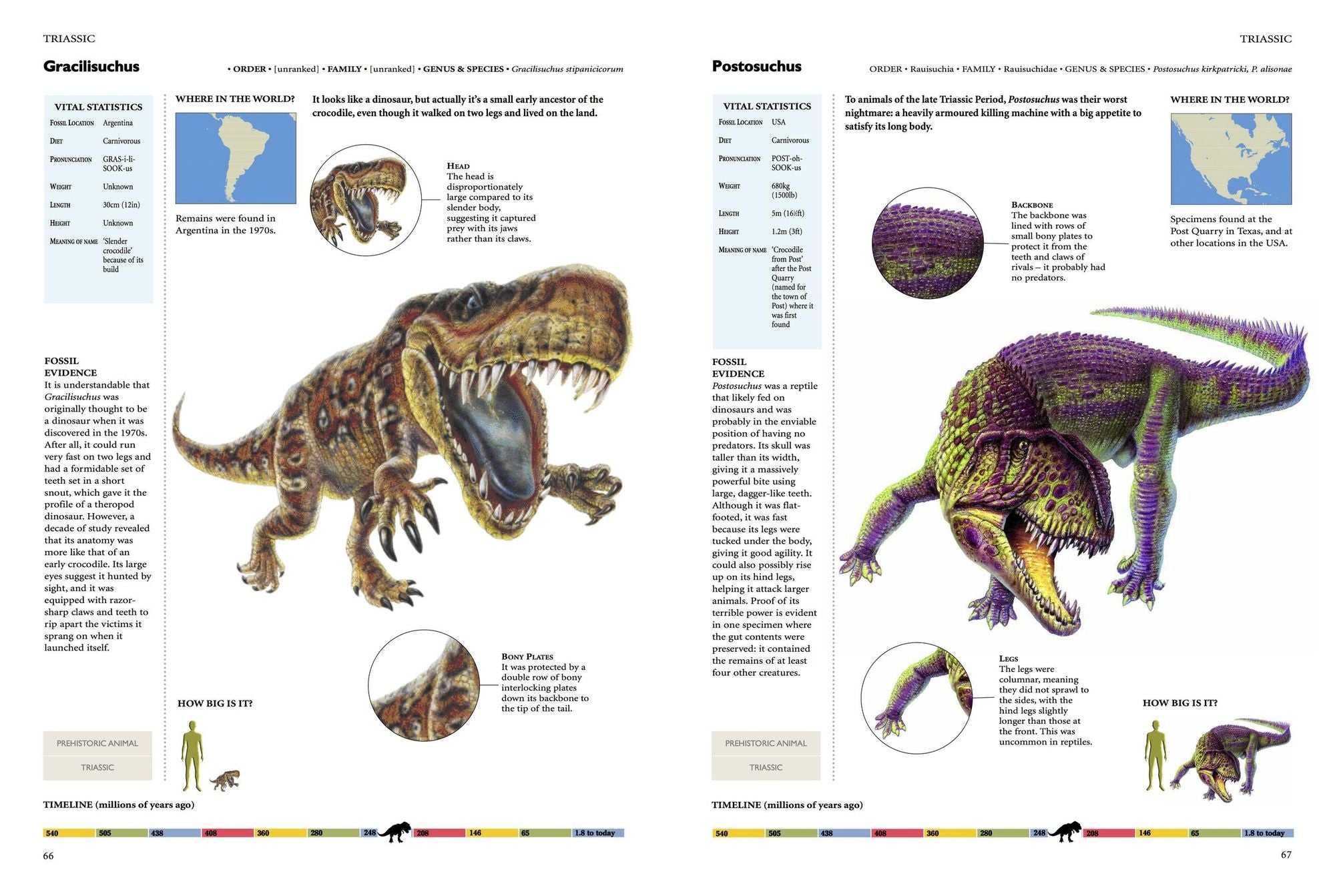 Encyclopedia of Dinosaurs