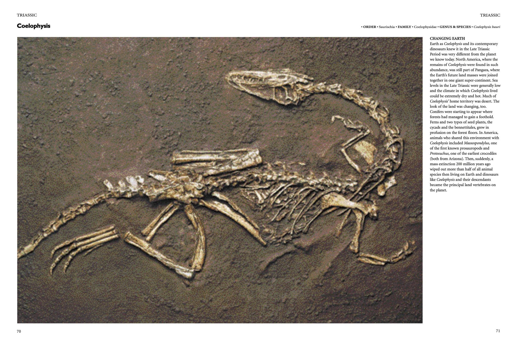 Encyclopedia of Dinosaurs