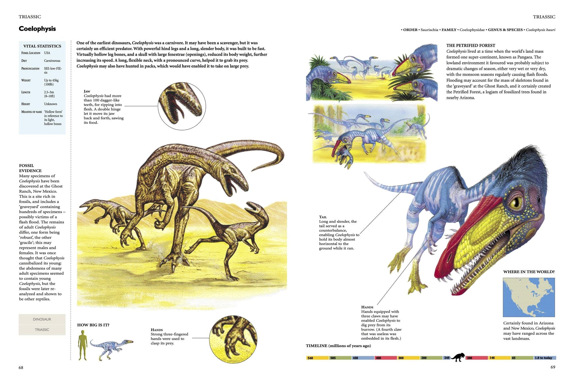 Encyclopedia of Dinosaurs