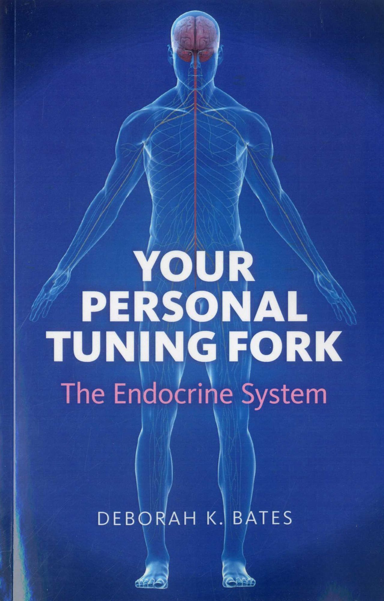 Your Personal Tuning Fork: The Endocrine System