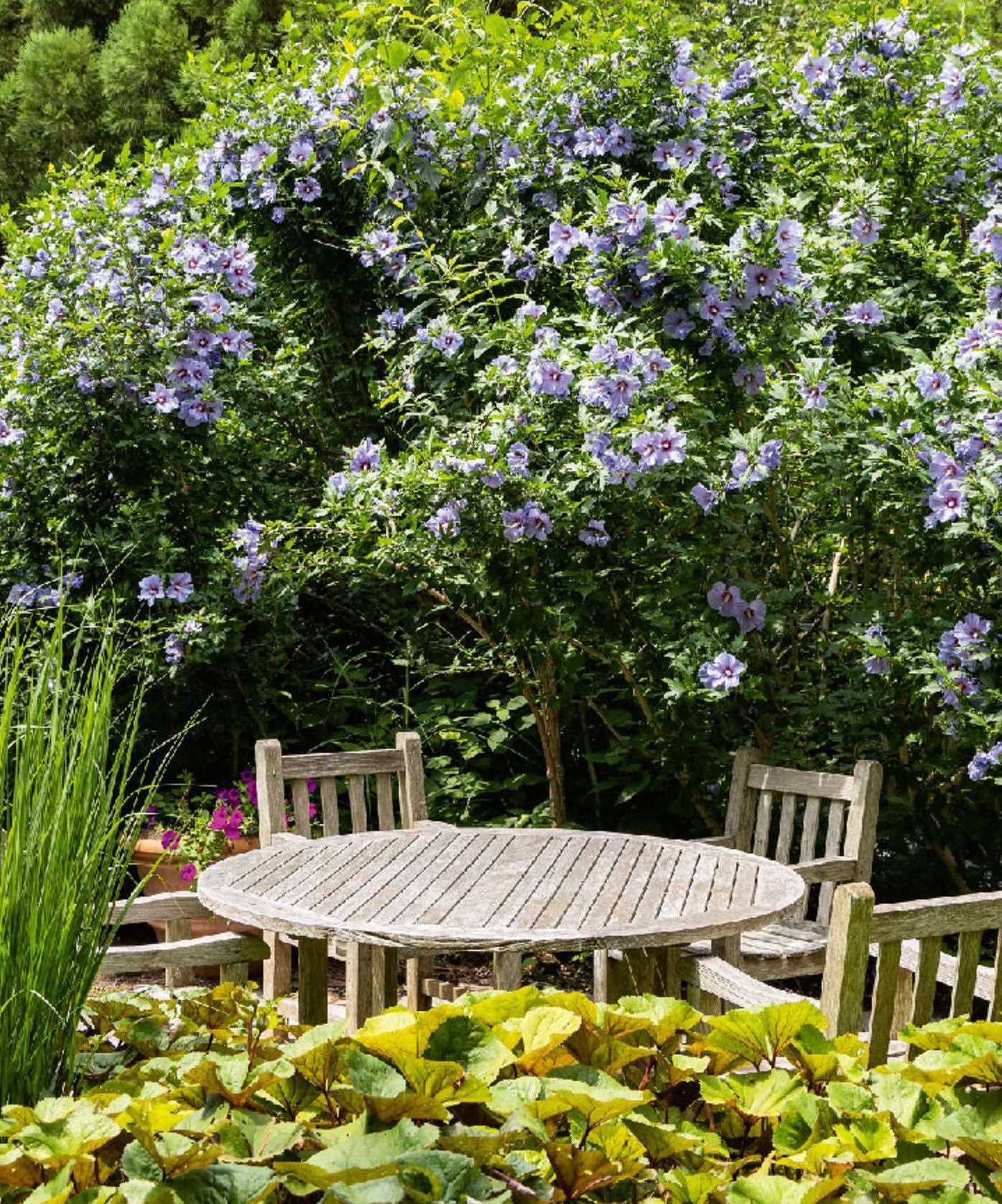 The Gardens of the Hamptons