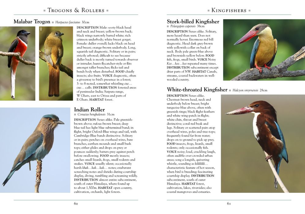 A Naturalist's Guide to the Birds of India