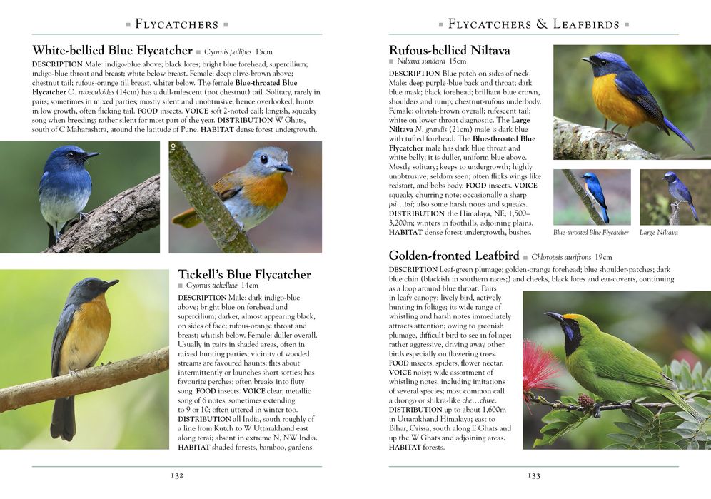 A Naturalist's Guide to the Birds of India