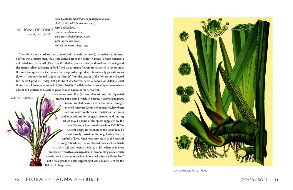 Flora & Fauna of the Bible