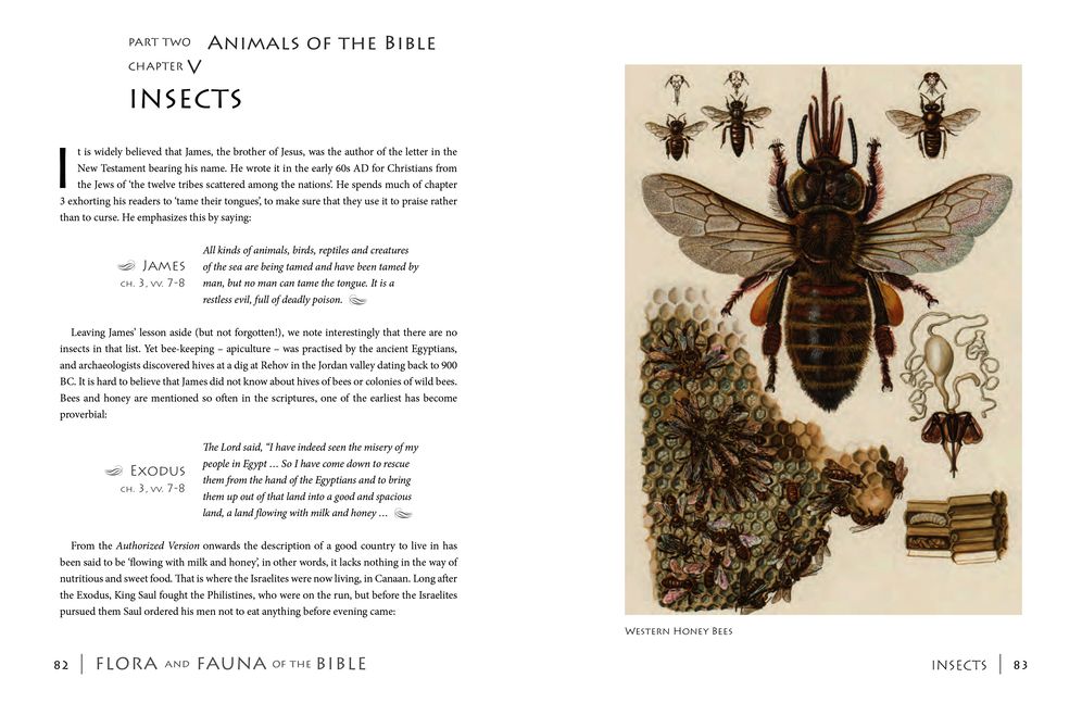 Flora & Fauna of the Bible