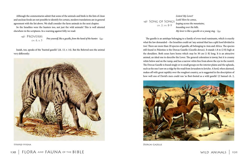 Flora & Fauna of the Bible