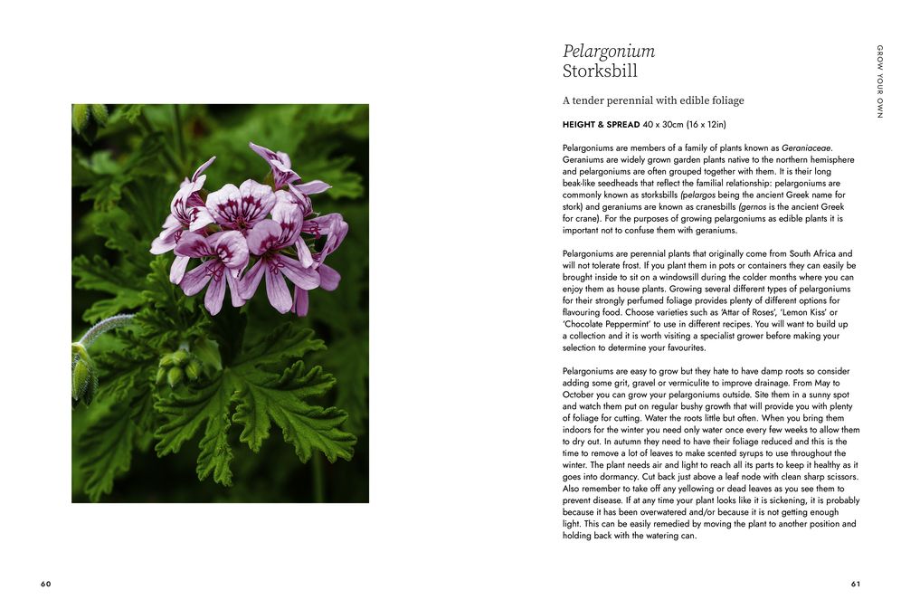 A Floral Feast: A Guide to Growing and Cooking with Edible Flowers, Foliage, Herbs and Seeds
