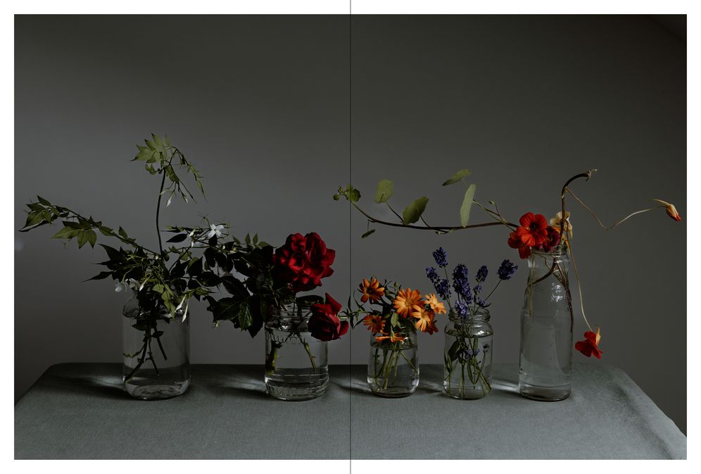 A Floral Feast: A Guide to Growing and Cooking with Edible Flowers, Foliage, Herbs and Seeds