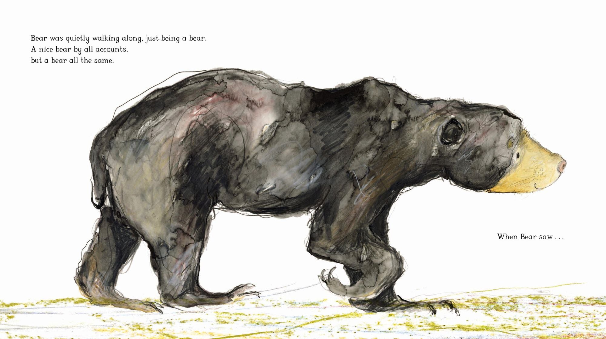 Five Bears