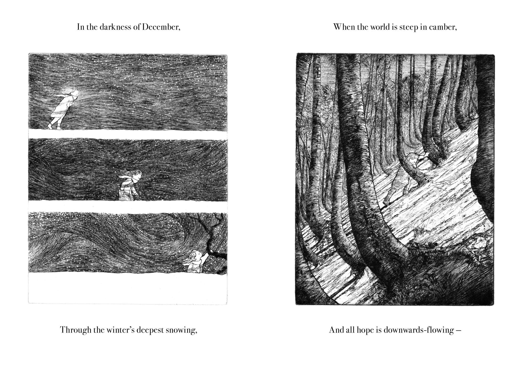Night Creatures: Firefly: An uplifting and lyrical story of light, hope, and wonder