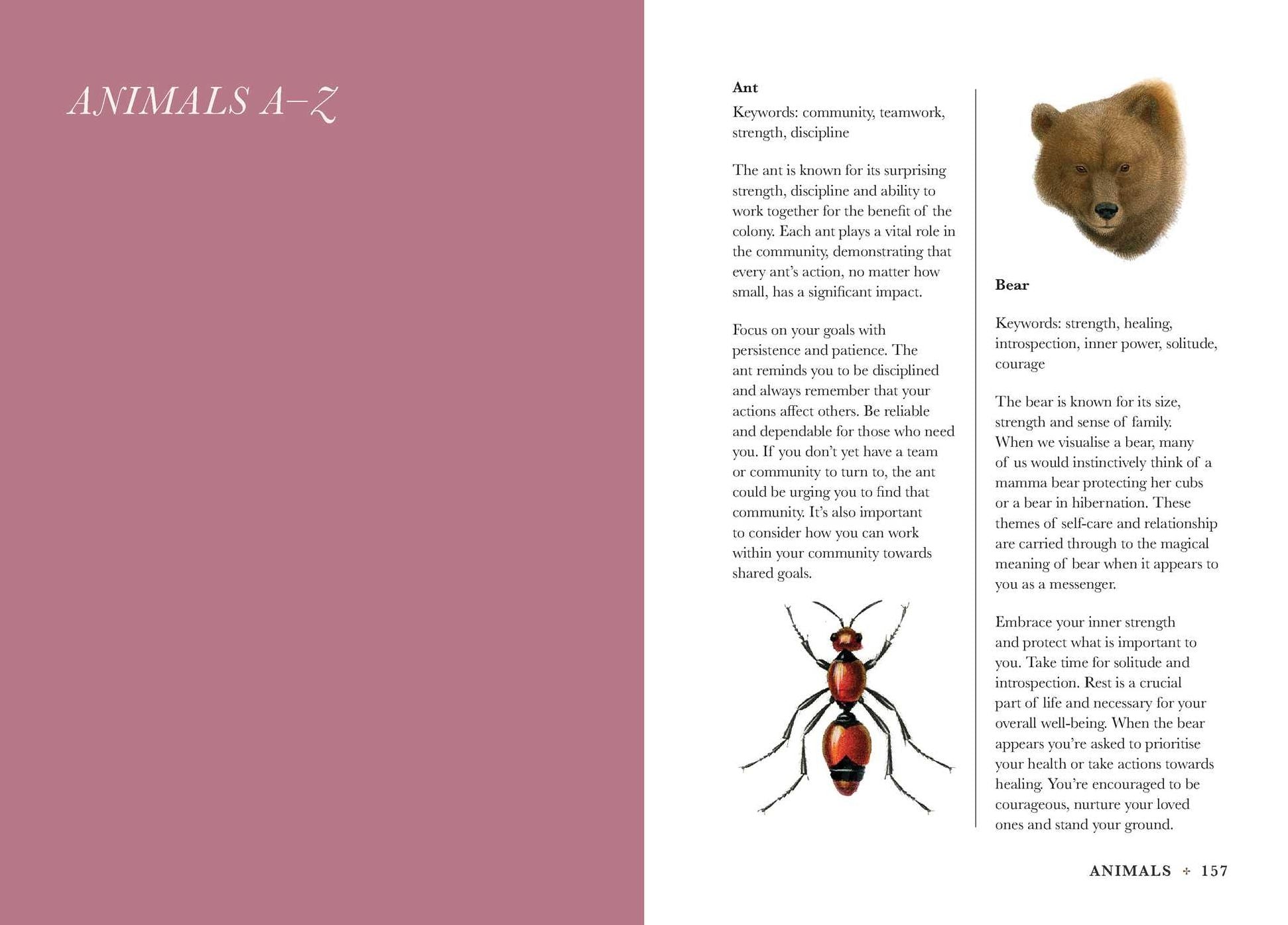 A Practical Guide to Magic in Nature