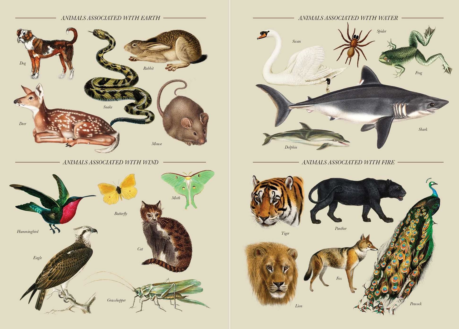 A Practical Guide to Magic in Nature