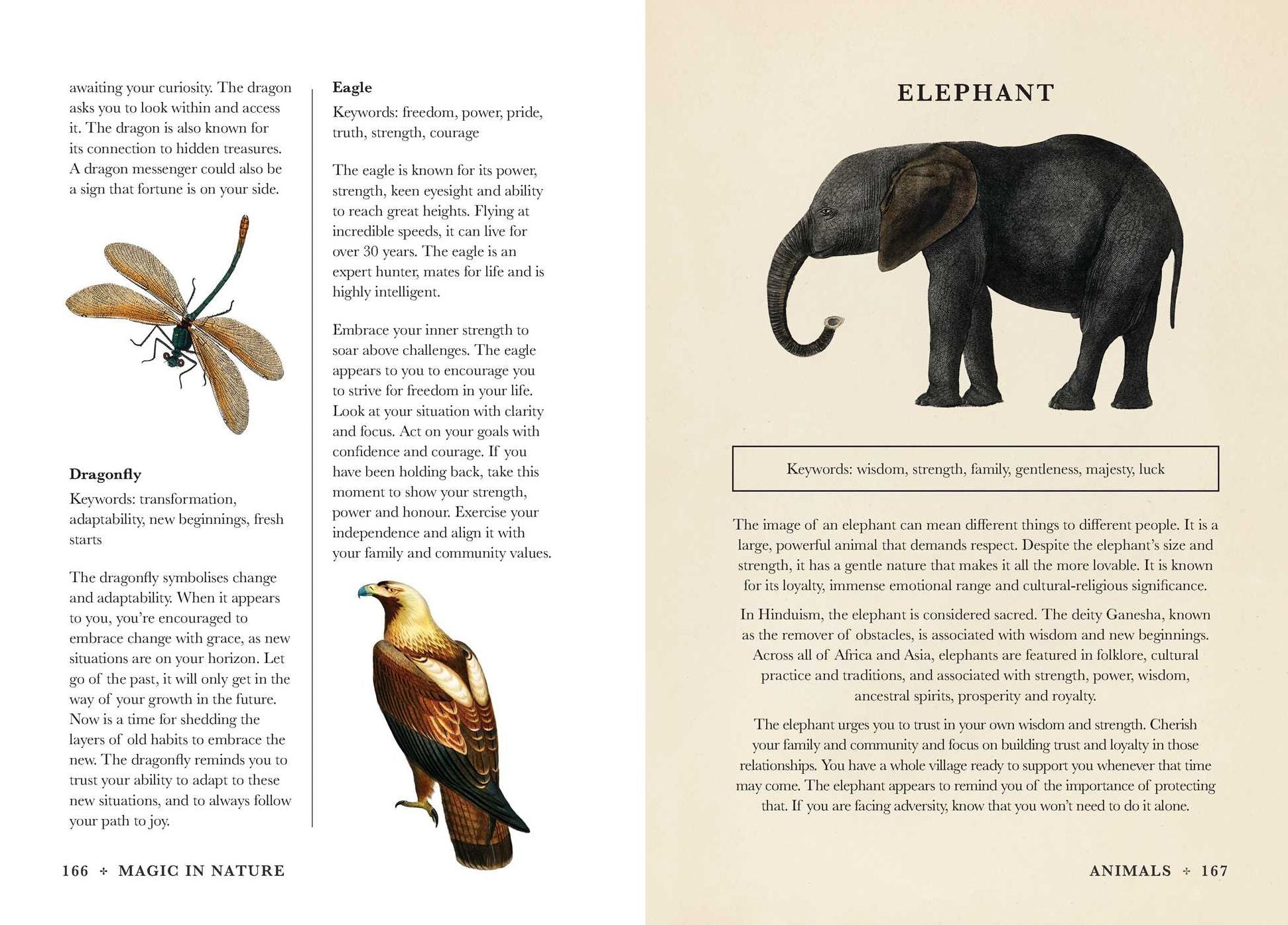 A Practical Guide to Magic in Nature