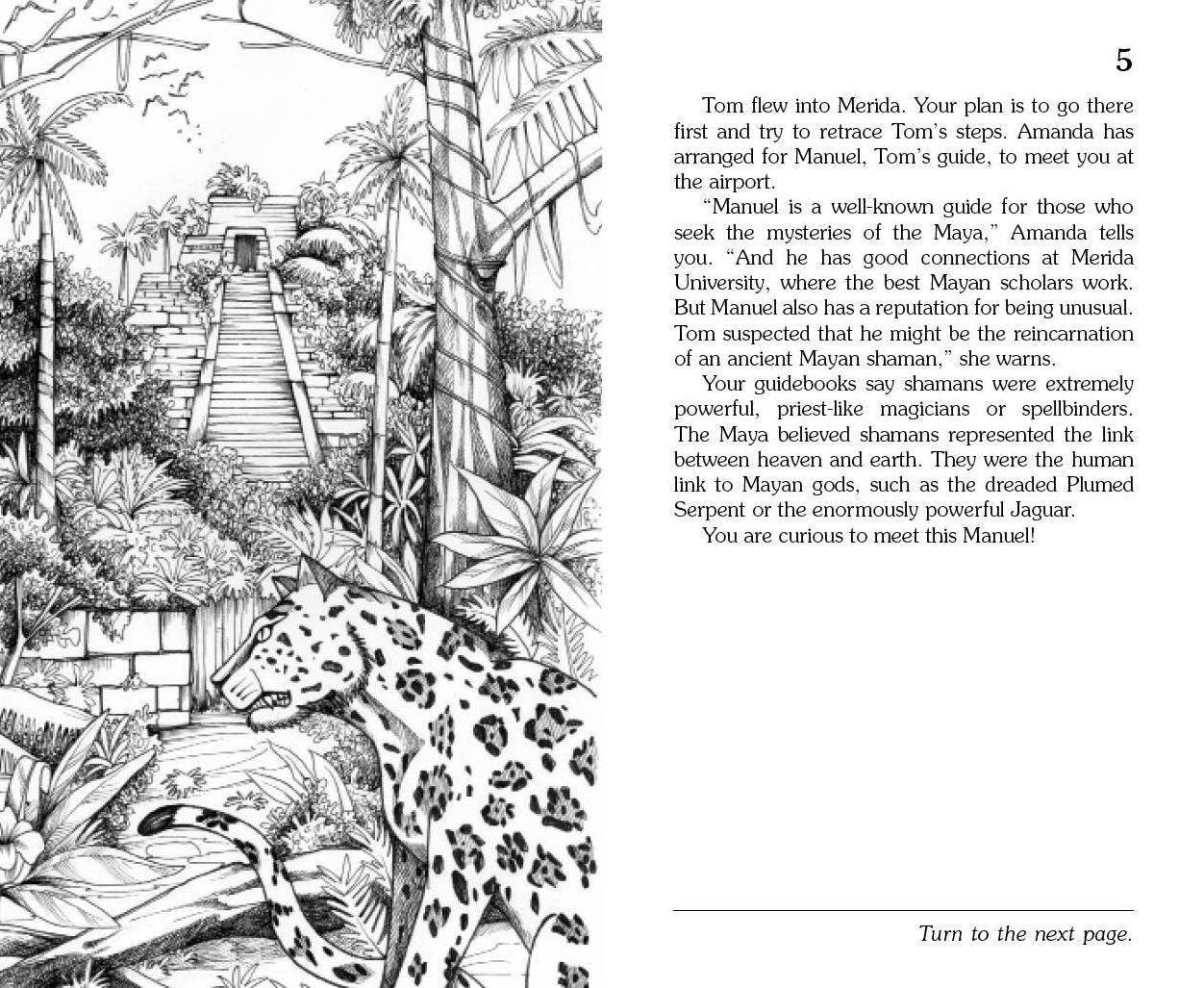 Mystery of the Maya (Choose Your Own Adventure #5)