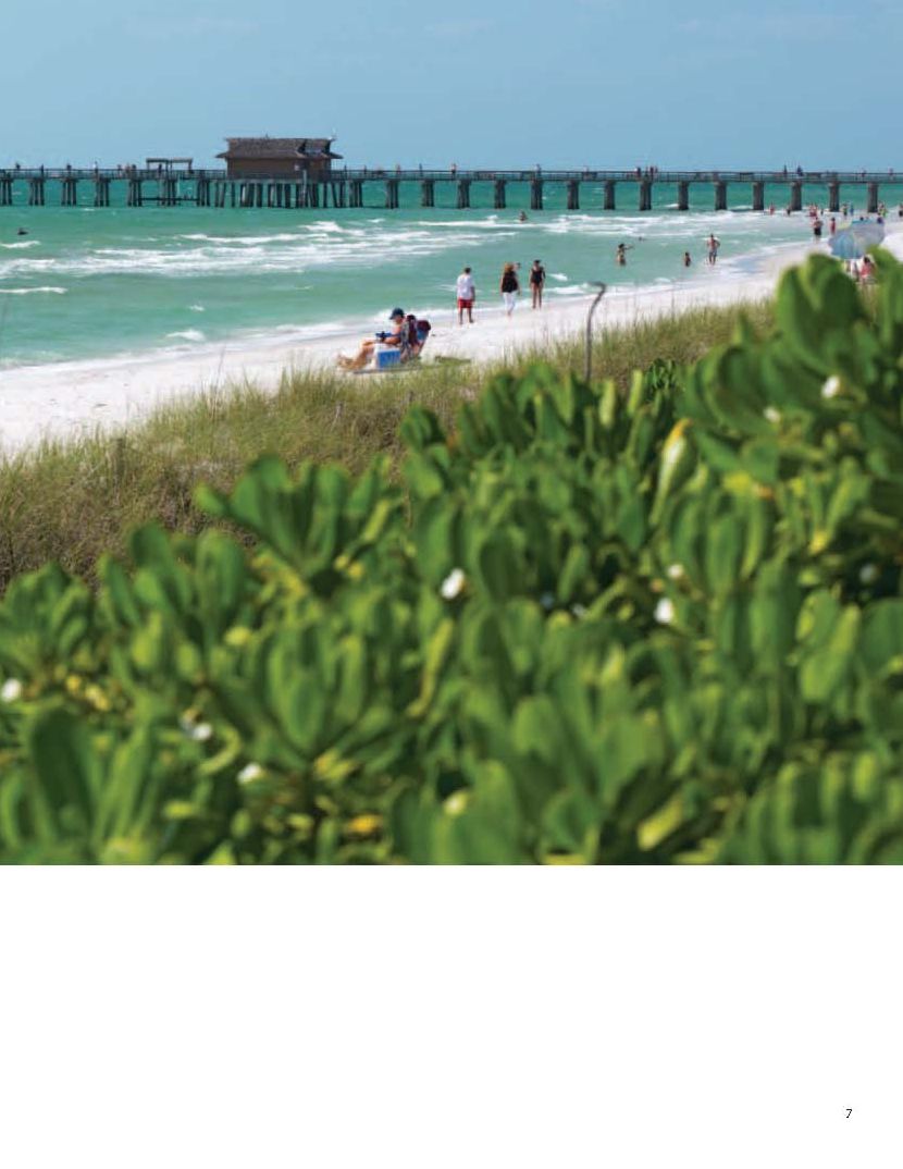 Naples, Florida: A Photographic Portrait