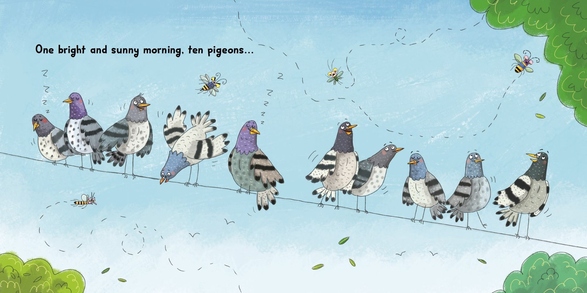 Pigeon Math