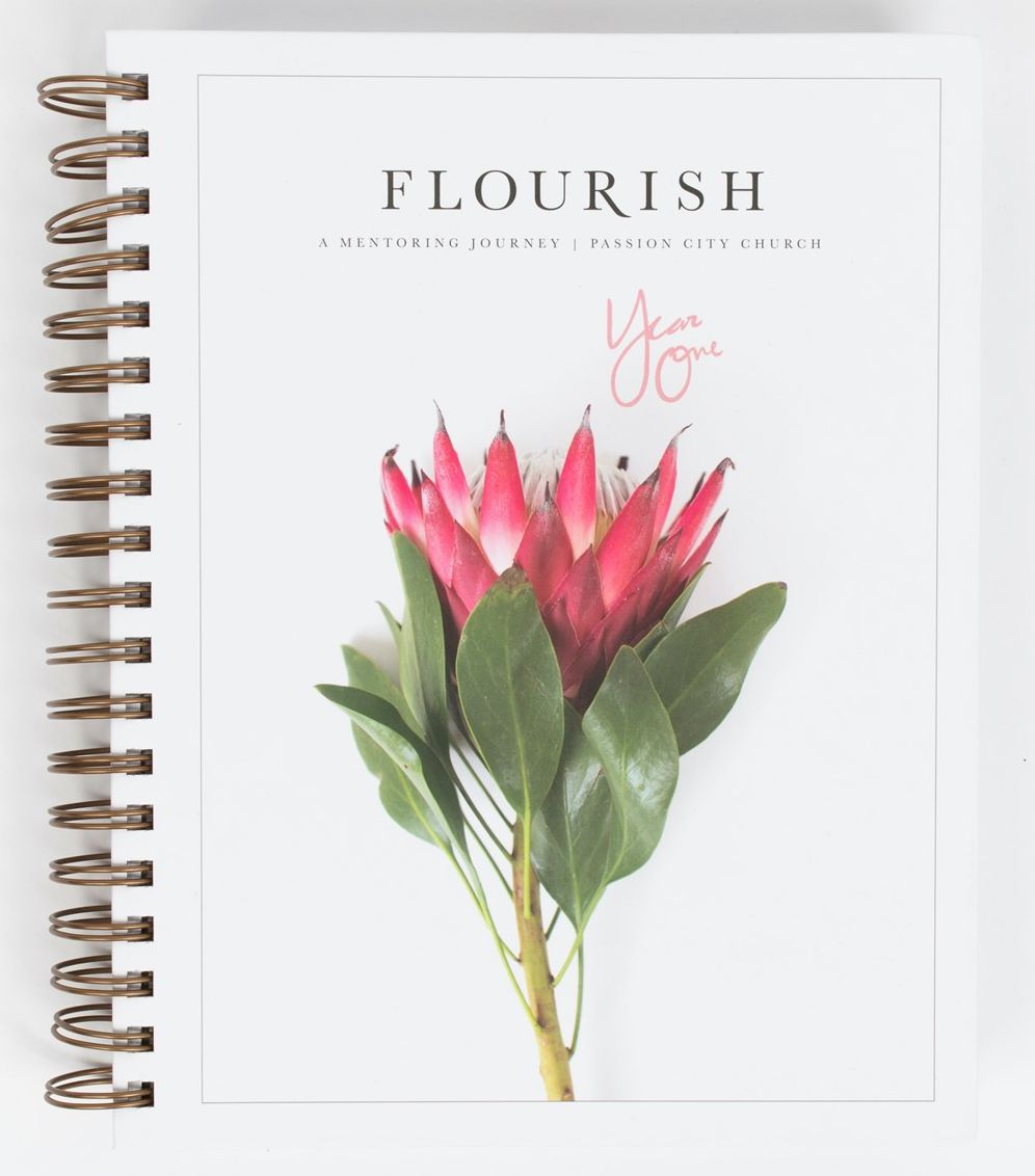 Flourish: A Mentoring Journey - Year One