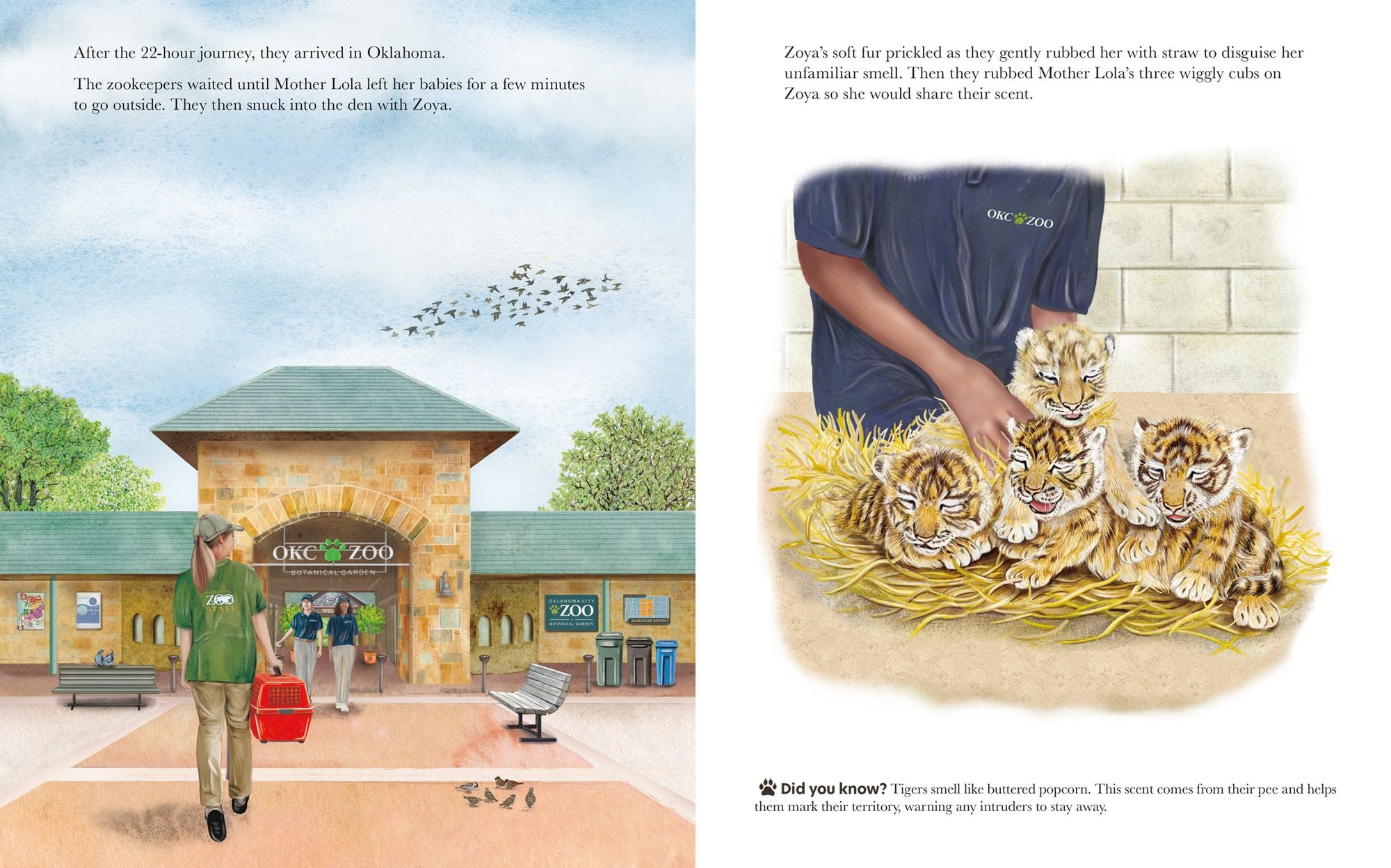 A Family for Zoya: The True Story of an Endangered Cub