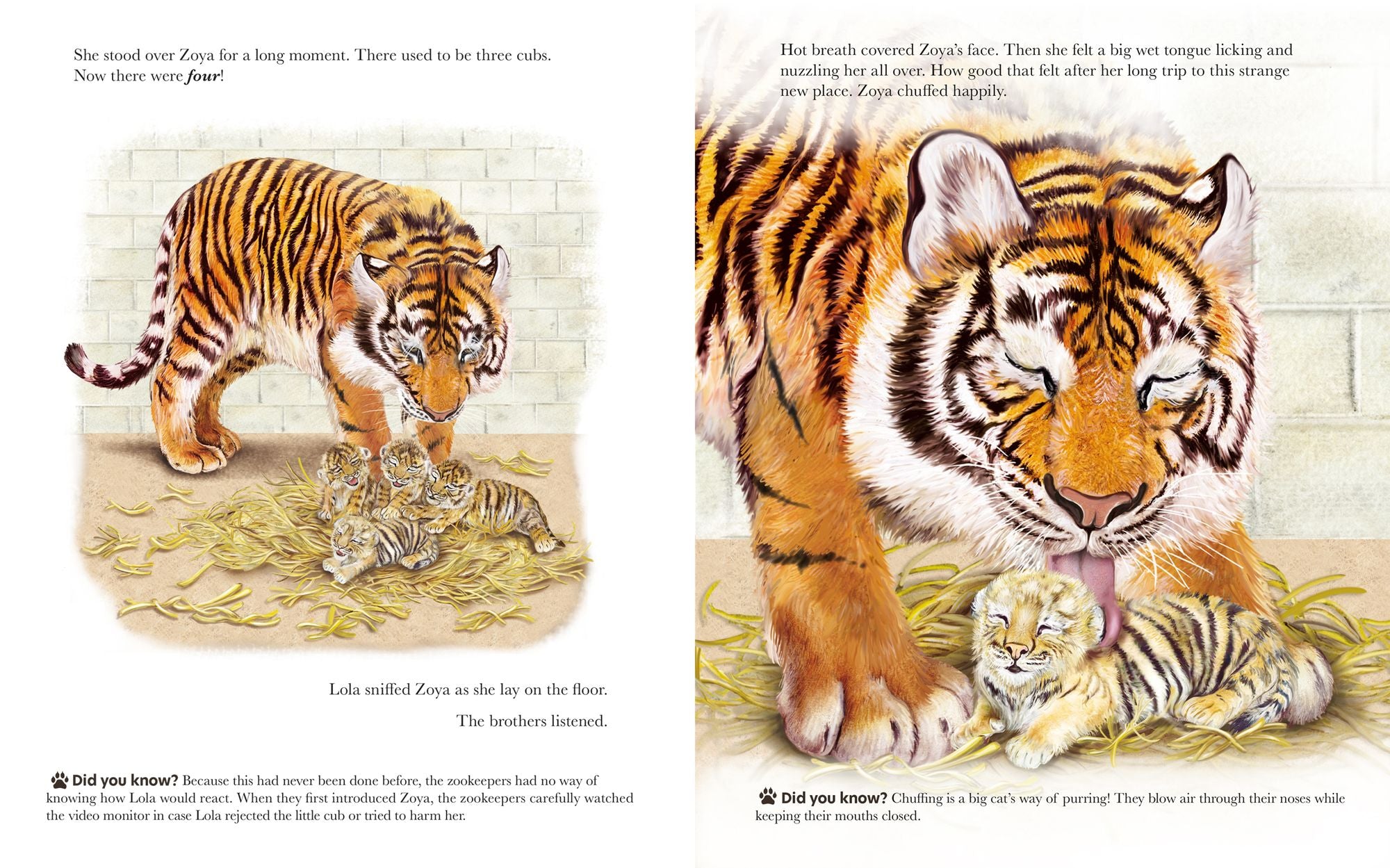 A Family for Zoya: The True Story of an Endangered Cub