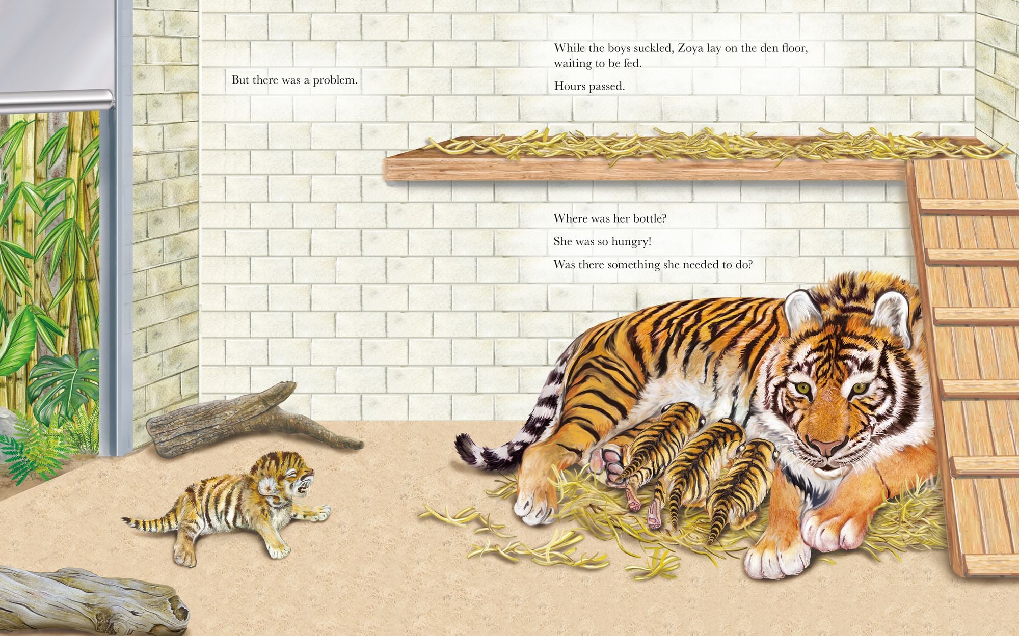 A Family for Zoya: The True Story of an Endangered Cub