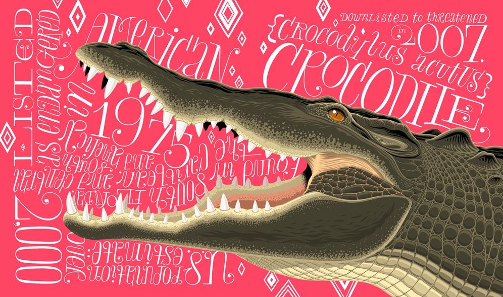 A Wild Promise: An Illustrated Celebration of The Endangered Species Act