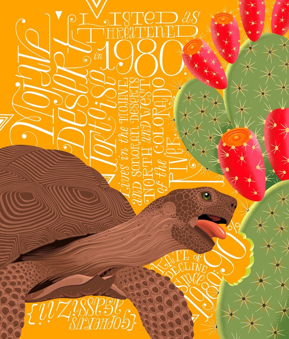 A Wild Promise: An Illustrated Celebration of The Endangered Species Act
