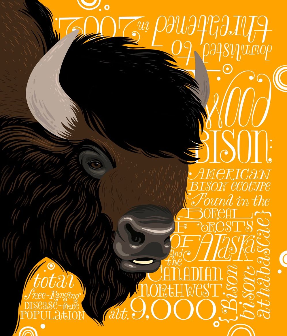 A Wild Promise: An Illustrated Celebration of The Endangered Species Act
