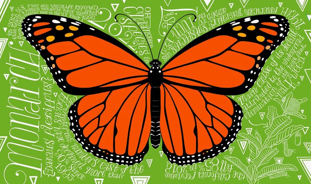 A Wild Promise: An Illustrated Celebration of The Endangered Species Act
