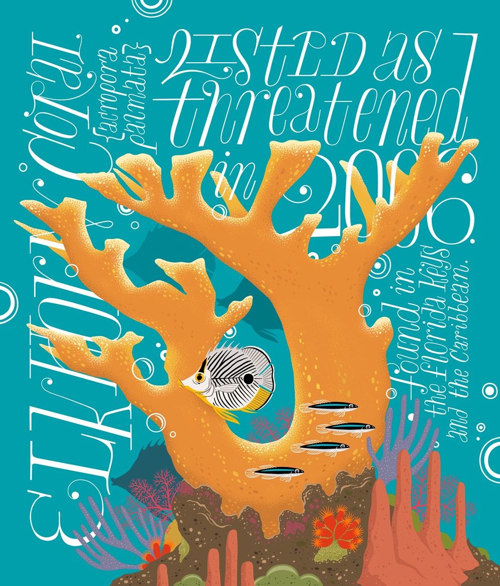 A Wild Promise: An Illustrated Celebration of The Endangered Species Act