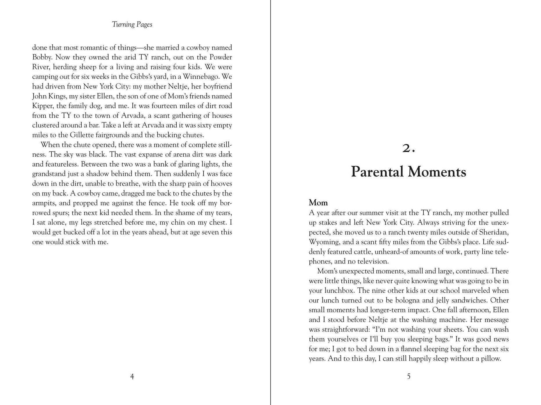 Turning Pages: The Adventures and Misadventures of a Publisher