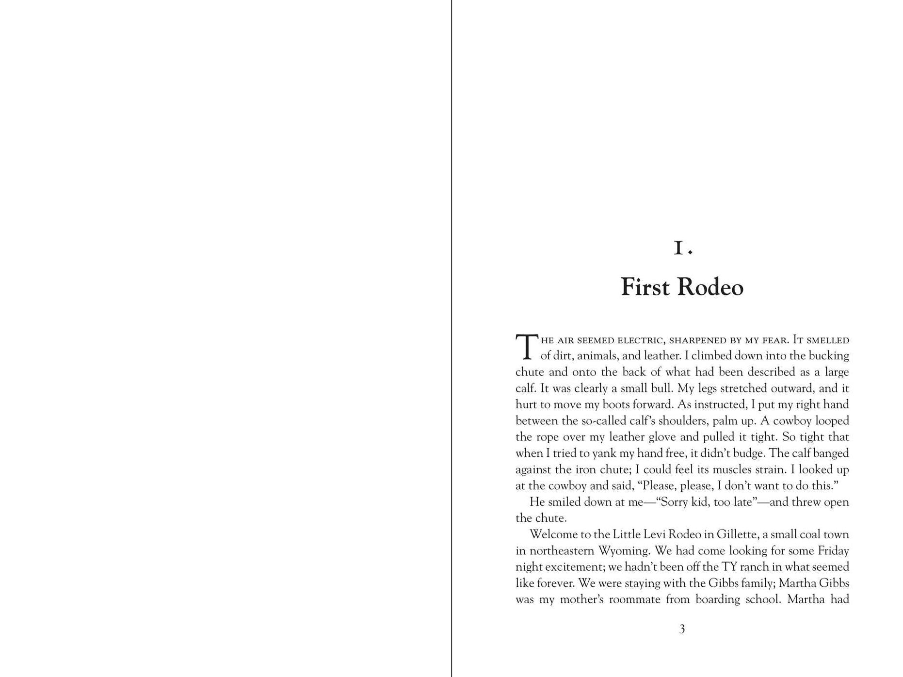 Turning Pages: The Adventures and Misadventures of a Publisher