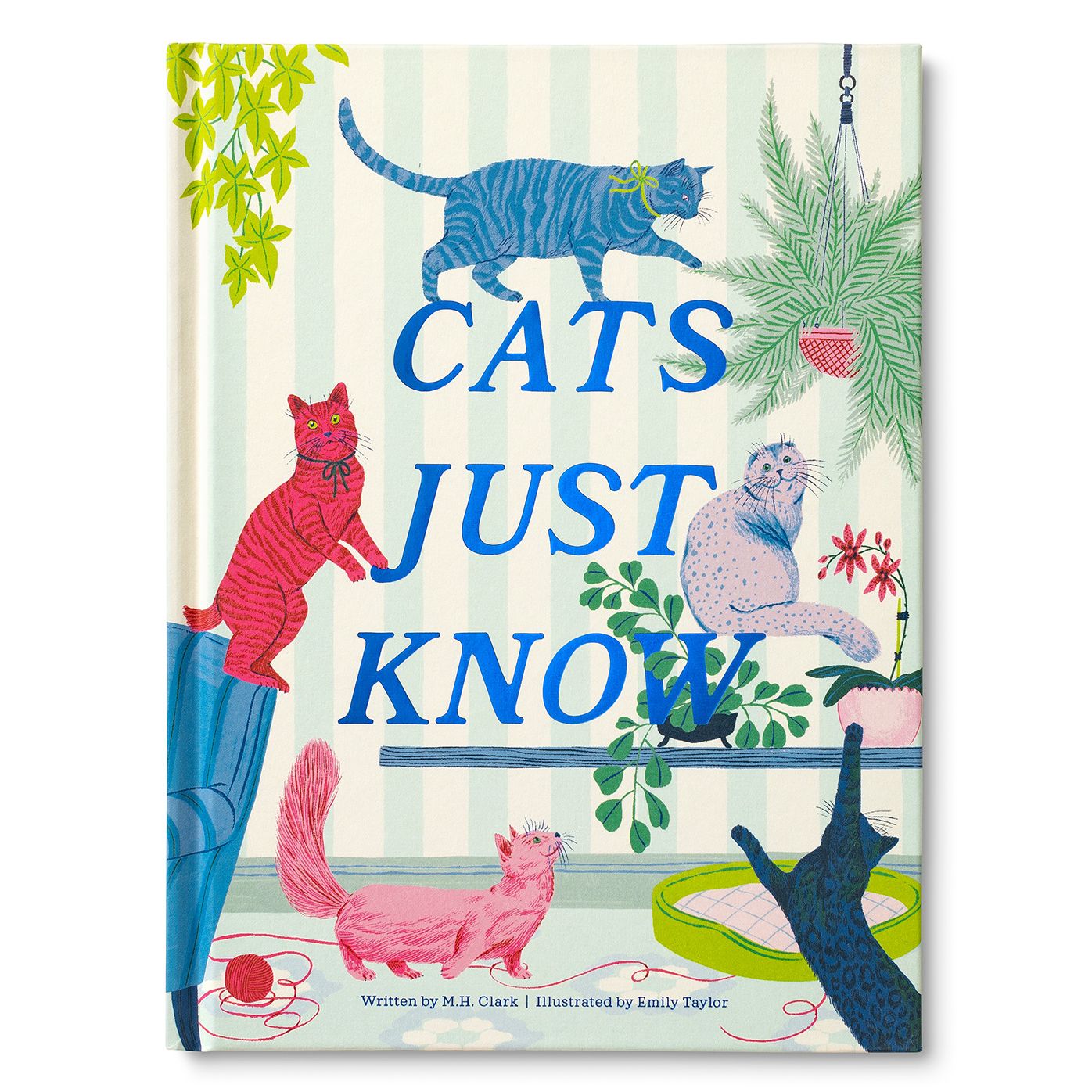 Cats Just Know