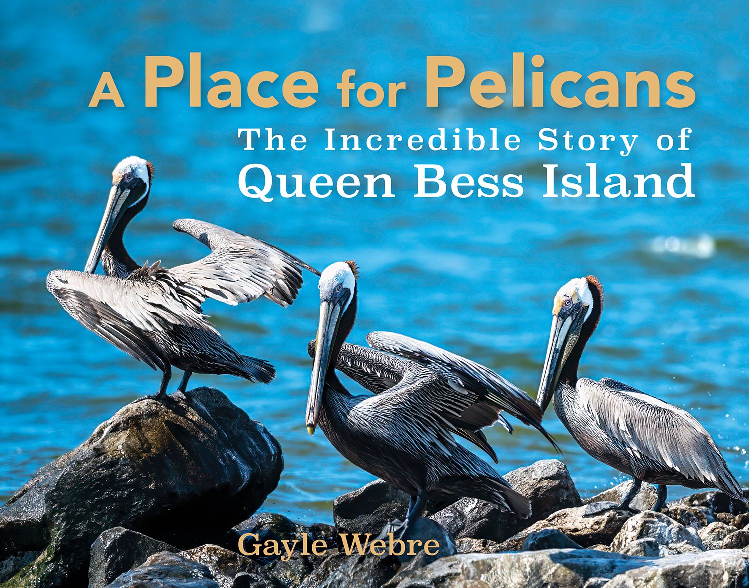 A Place for Pelicans: The Incredible Story of Queen Bess Island